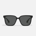 BLACK/SMOKE POLARIZED